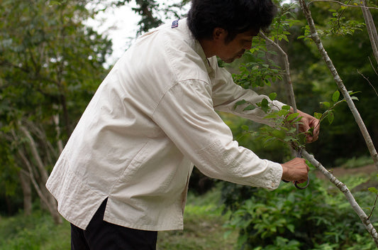 Yama Work Shirt